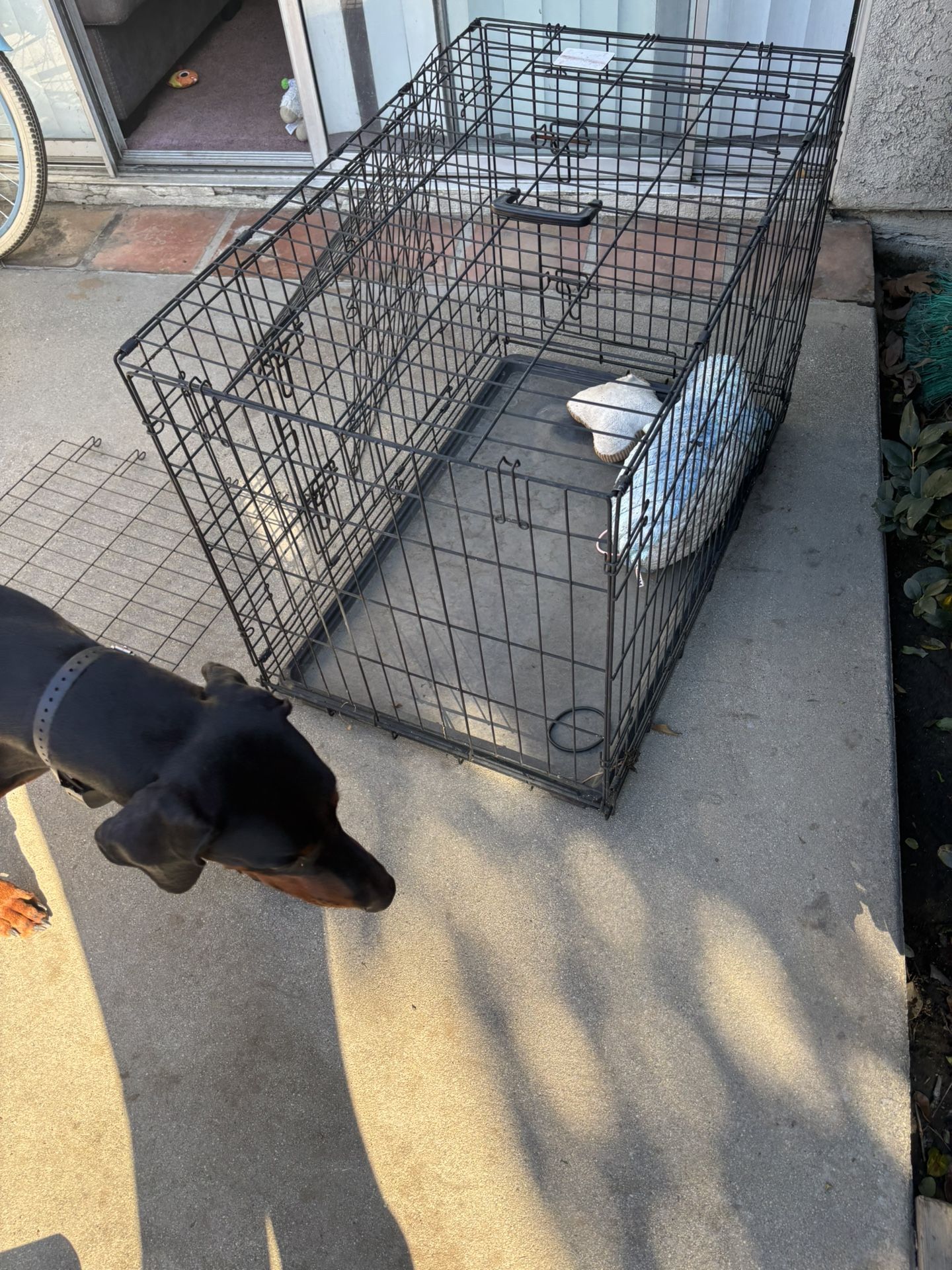 Dog Crate 