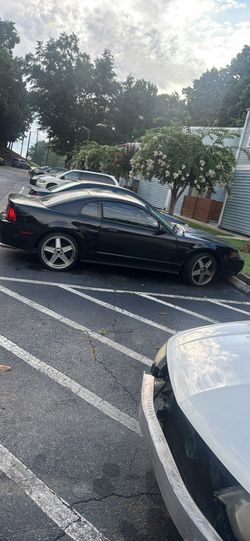 Mustang 04