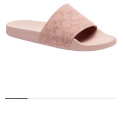 Coach Slides Size 7 