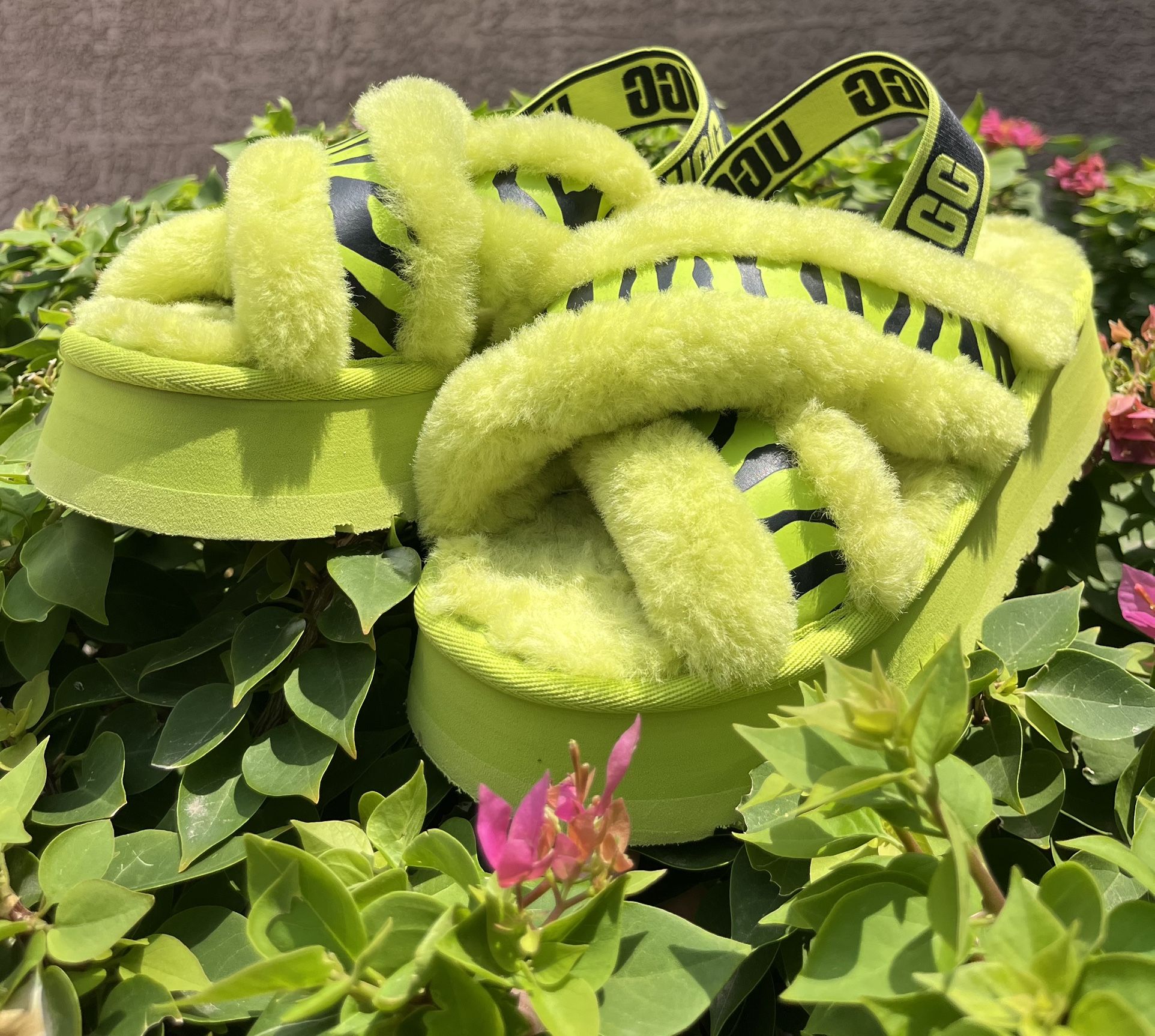 UGG Animalia Neon Green Disco Cross Slide Platform Sandals