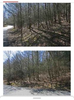 Lake Lure, NC Wooded Lot For Sale