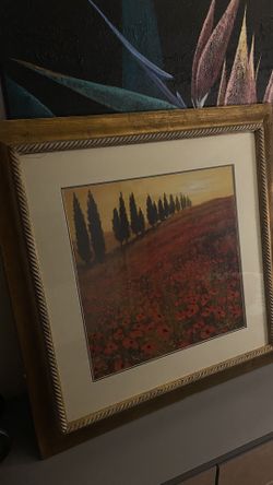 poppies by steve thoms