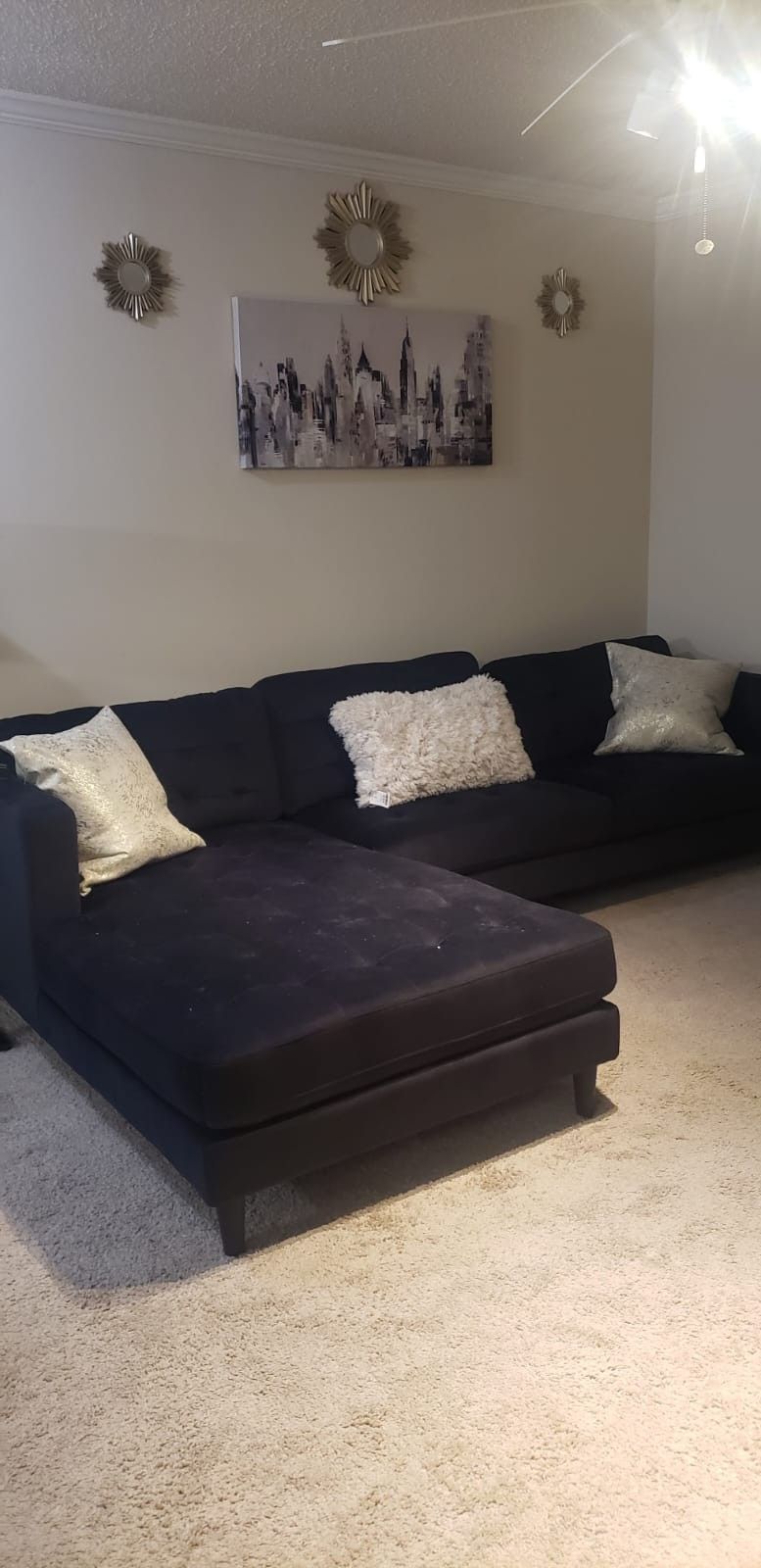 Sectional Couch