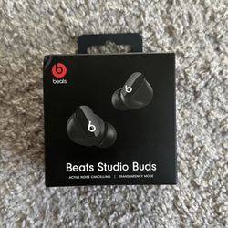 Beats Earbuds