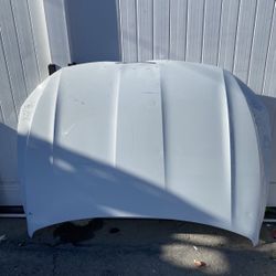 2019 2020 2021 2022 2023 2024 Volkswagen Jetta Hood OEM 