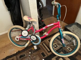 20 Inch Girls Bicycle