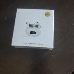 True wireless earpod