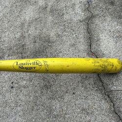 Louisville Slugger Heavy Training Baseball Bat