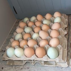 Fresh Eggs - Dozen Or More!