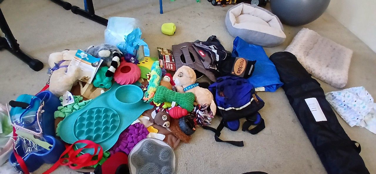 Puppy Supplies