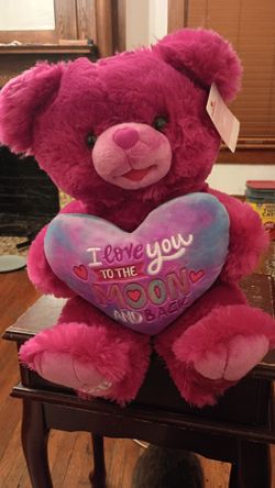 Pink plush teddy bear I love you to the Moon and back firm price $20 bucks all sales are final pick up only 865 Ellsworth avenue right off of East Liv