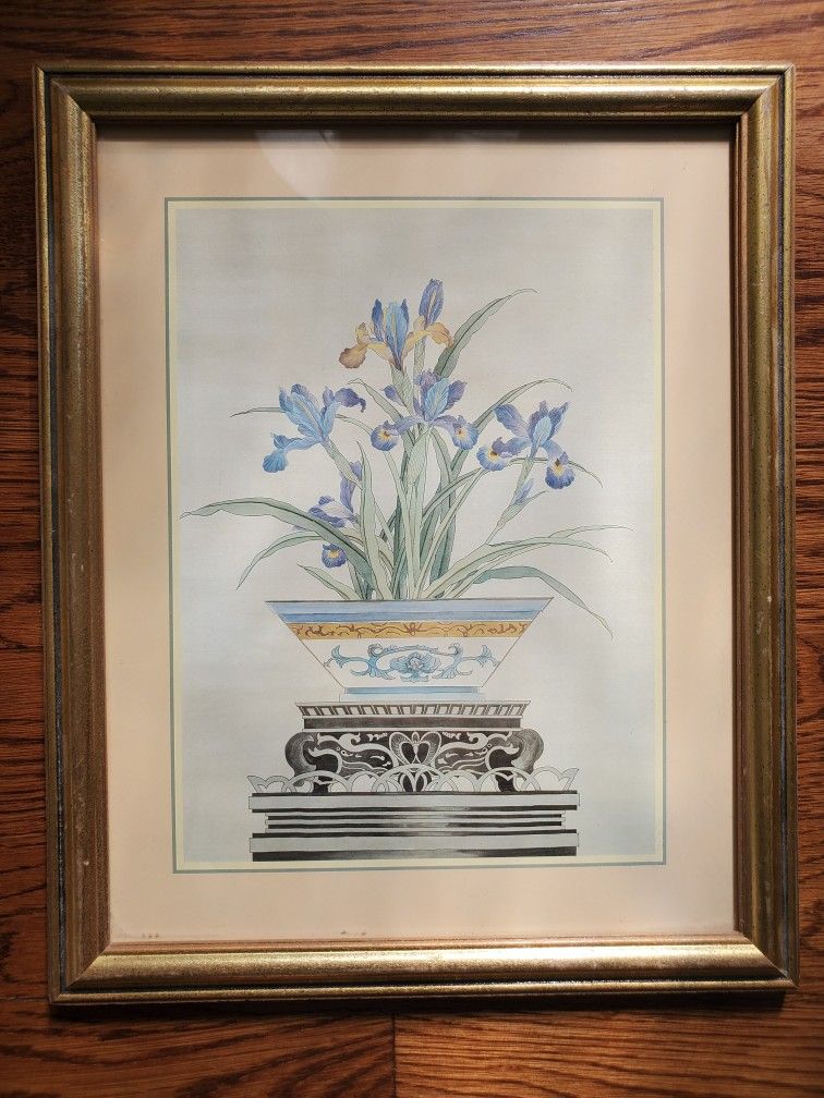 Orchid Flowers framed wall art 16 × 13 inches