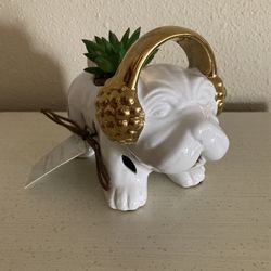 Ceramic Bulldog Decor
