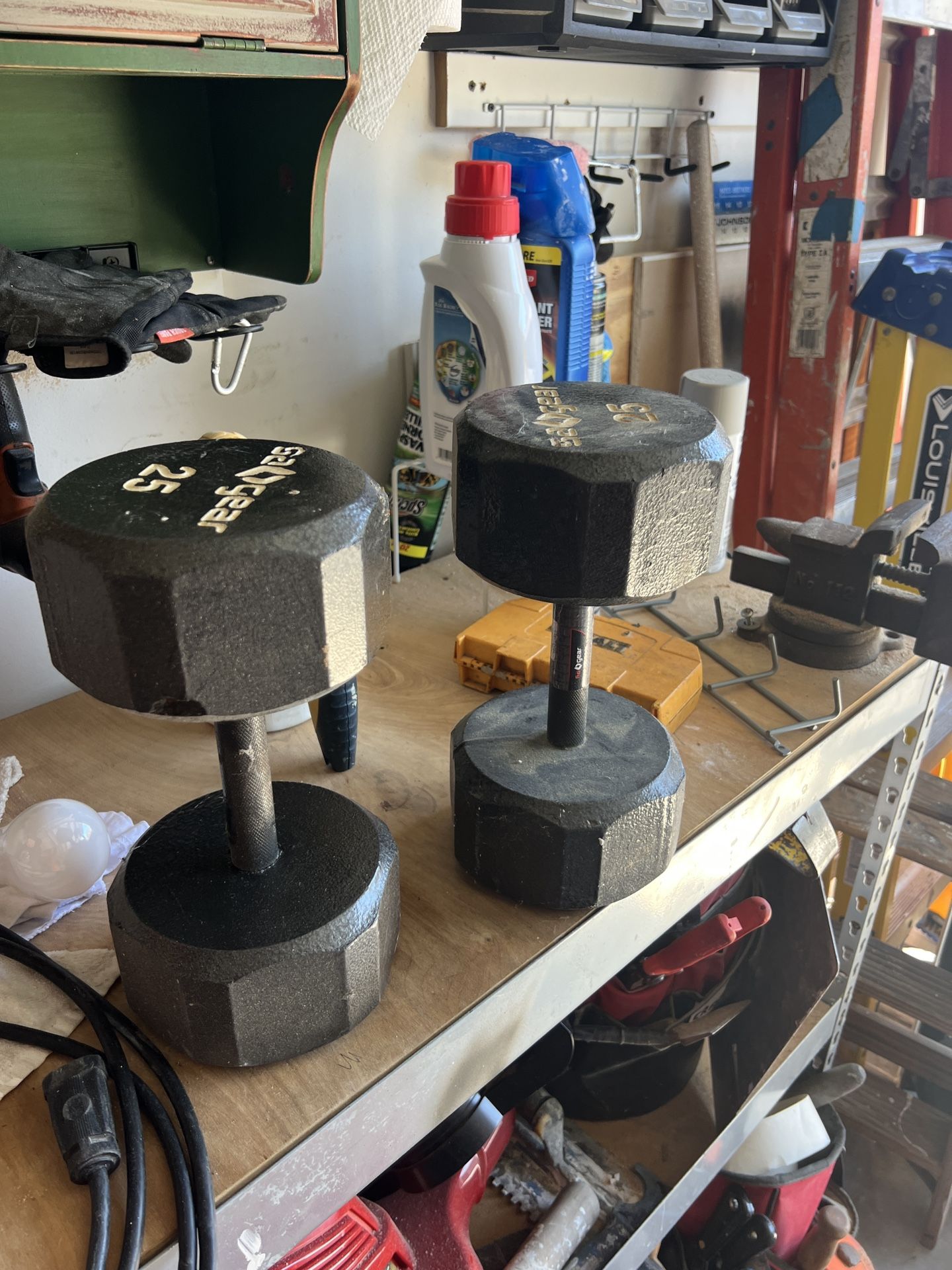 25lbs Dumbbells