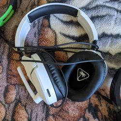 Turtle Beach Headphones