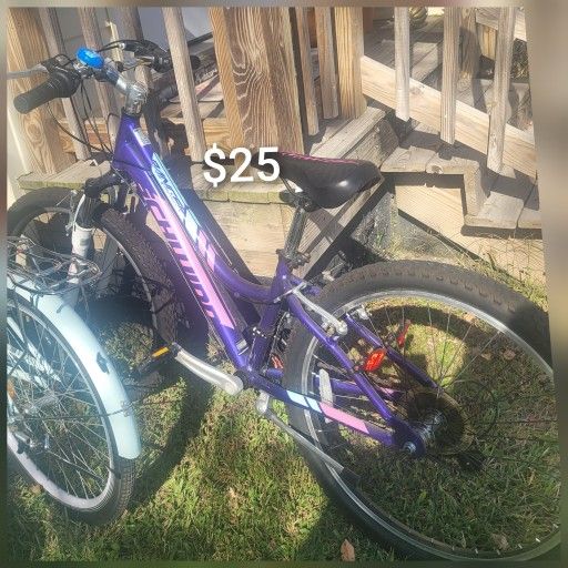 SCHWINN Ranger  24" Girl's Outdoor Mountain Bike Sports Ride - Purple