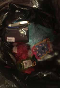 Bag of toys. Hatchimals, stuffed animals, etc.