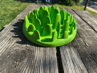 Slow feeder dog bowl