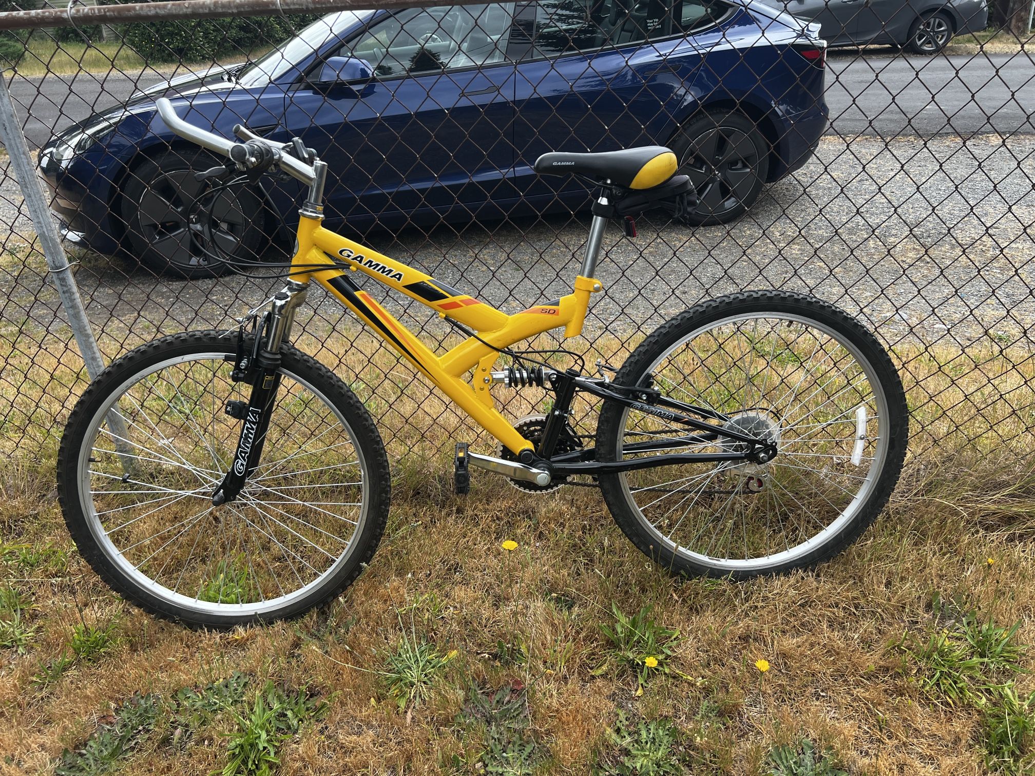 Gamma Mountian Bike