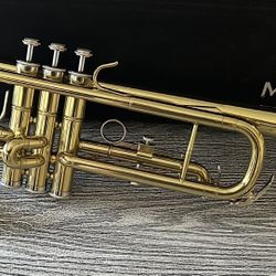 Trumpet with carry case in excellent condition, complete with mouthpiece. $85