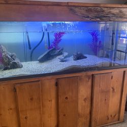 Fish Tank /Aquarium 