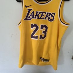 Lebron james lakers jersey