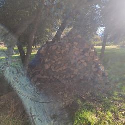 Firewood