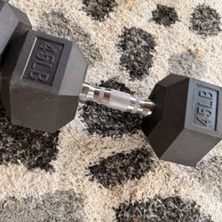 45 LB Dumbbell