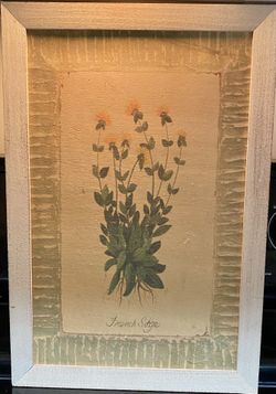Flowering Herbs Print - 17.5” X  12”