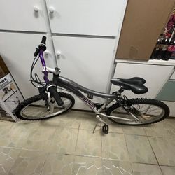 Genesis Whirlwind Bike