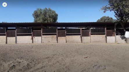 Corrales