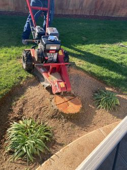 Stump Grinder