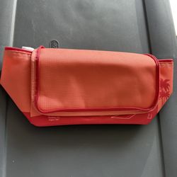 Trader Joe's Mini Insulated Bag