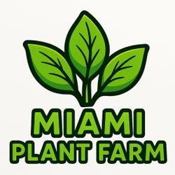 🌴 Elegant Clusia Hedges – 7-Gal - $10