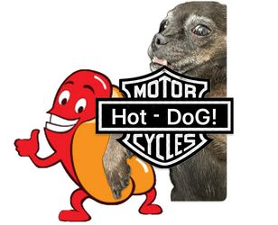 Detail Work. Wax. Wet Sand. & Buf polish Chrome