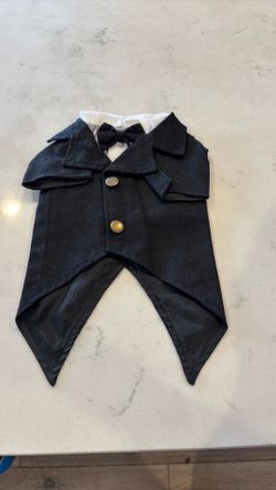Mini-dog Tuxedo!
