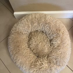 Dog Beds
