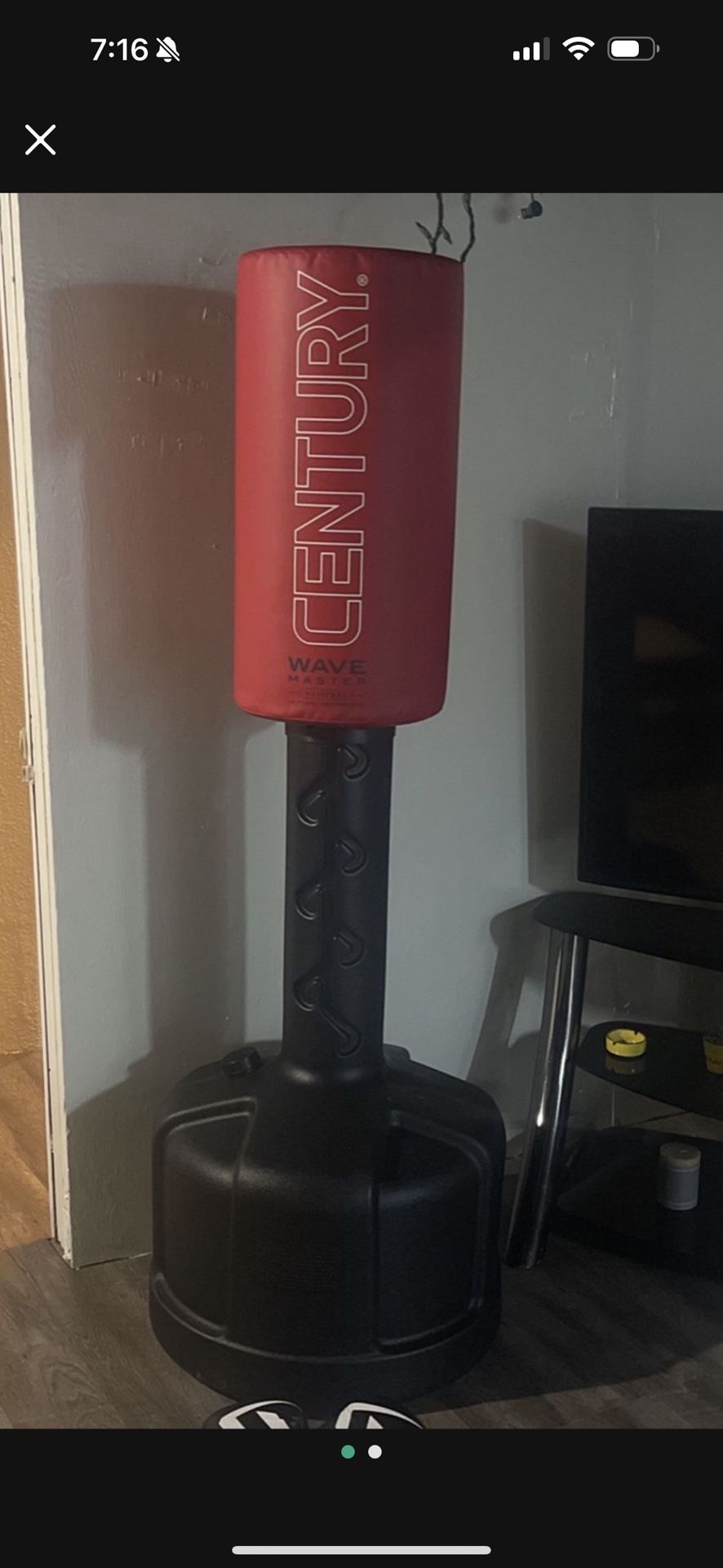 Punching Bag With Gloves