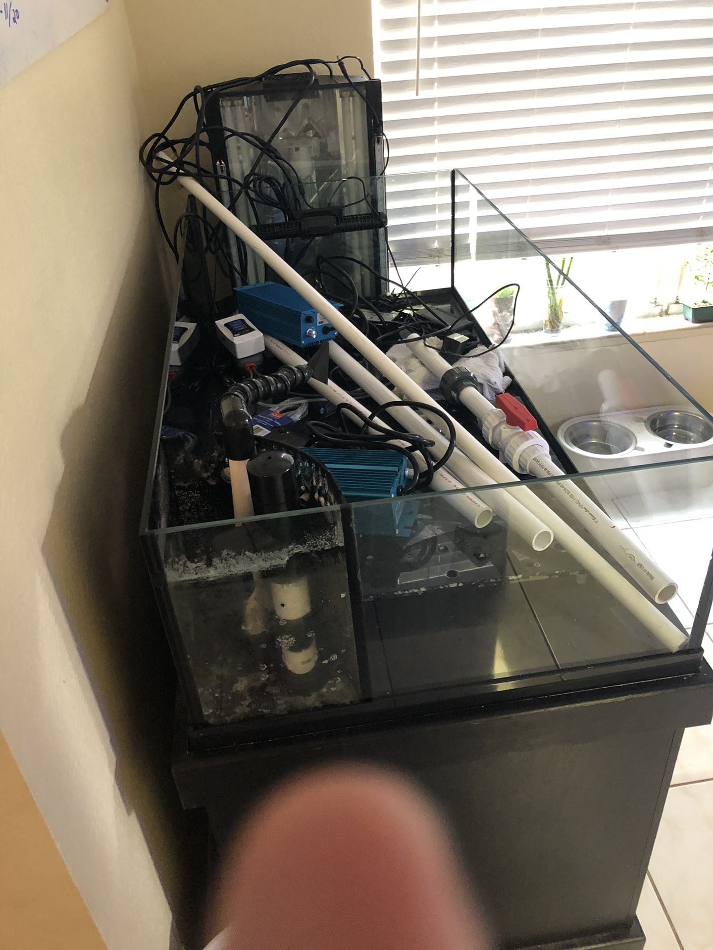 Deep Blue 60g rimless frag lowboy fish tank & stand for Sale in Tampa, FL OfferUp