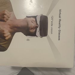 Virtual Reality Glasses