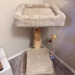 Cat Post- Good Condition 