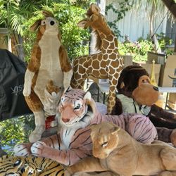 Safari ANIMALS
