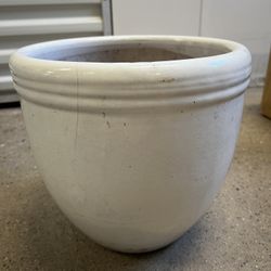 Plant Pot