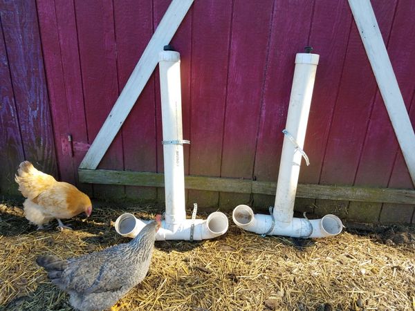 Pvc Chicken Feeder For Sale In Kent Wa Offerup