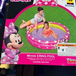 Minnie Mouse pool