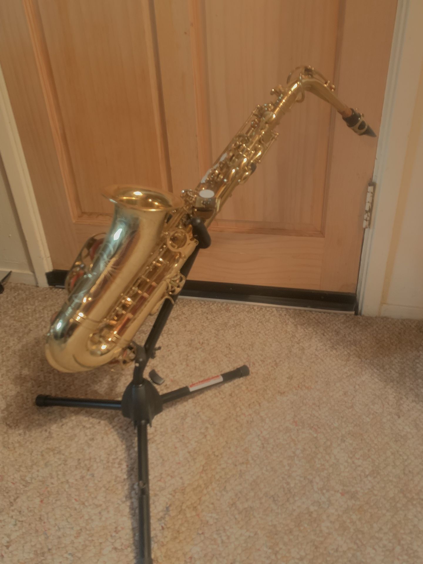 Alto Saxophone