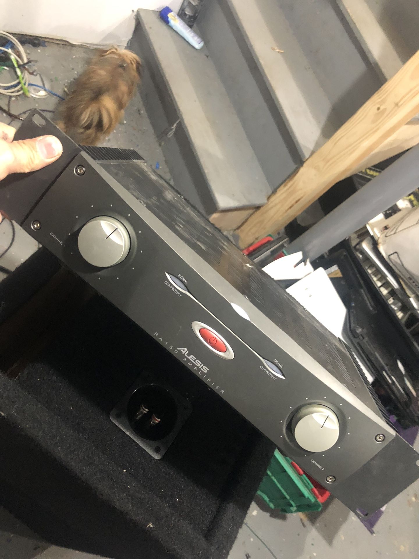 Alesis Amp 500’ Watts