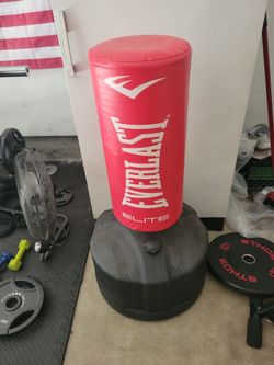 Standing Punching Bag