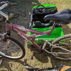 26inch Tires Ladies Bike Nexts