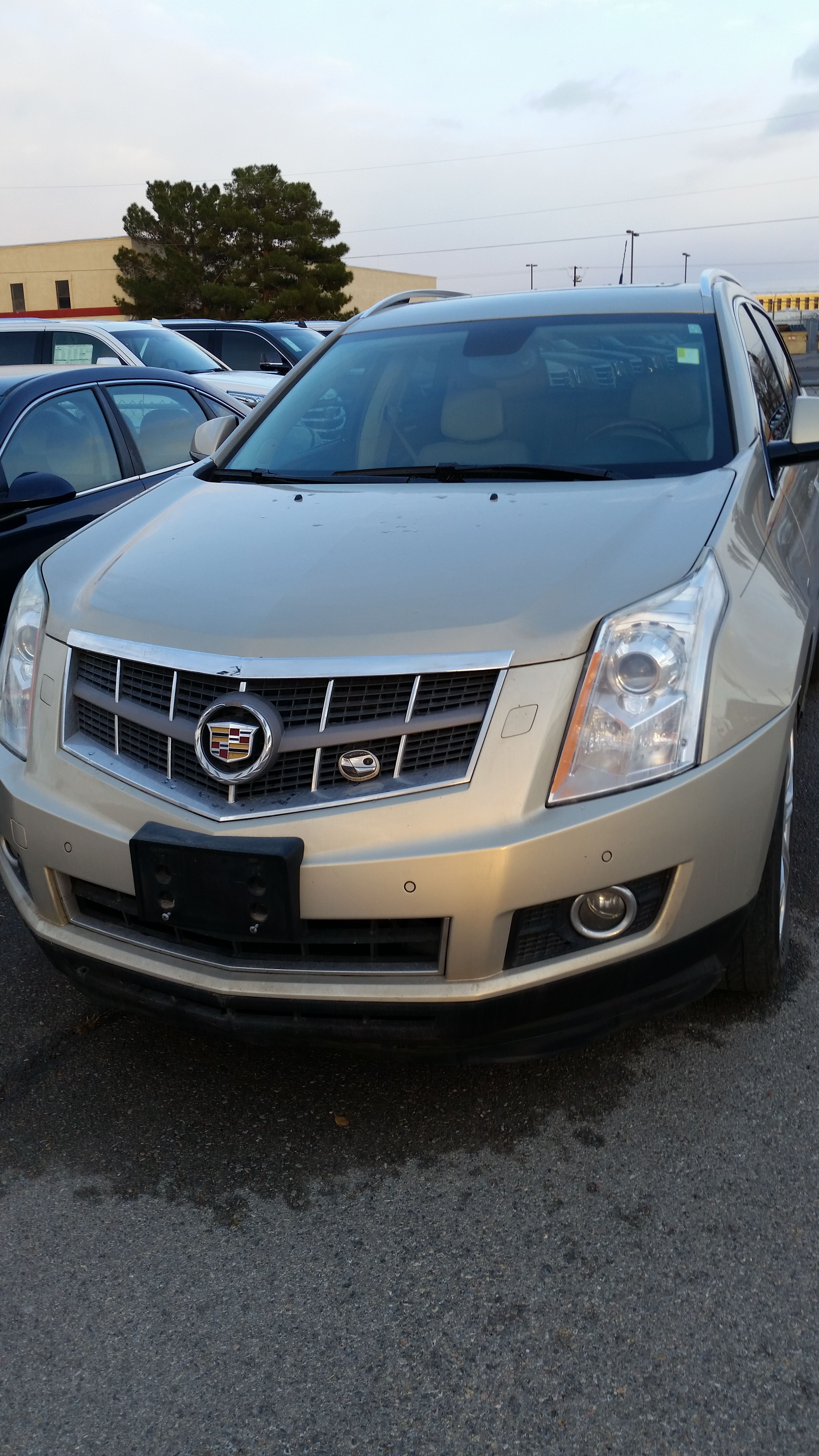 2010 Cadillac SRX